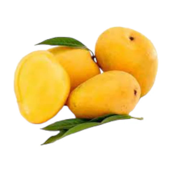 Fresh Alphonso Mango Super Big (AA)
